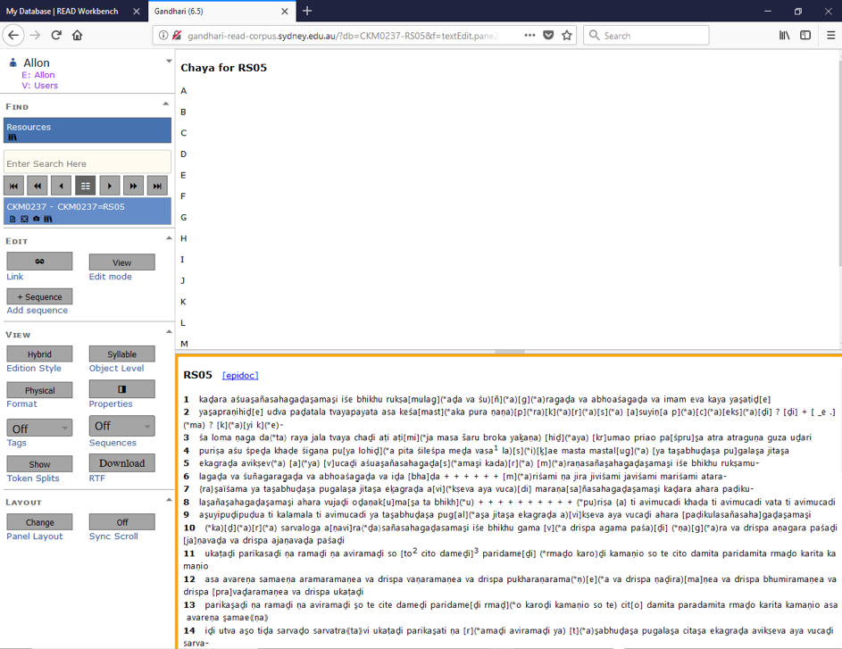 Chāyā Viewer – READ Features
